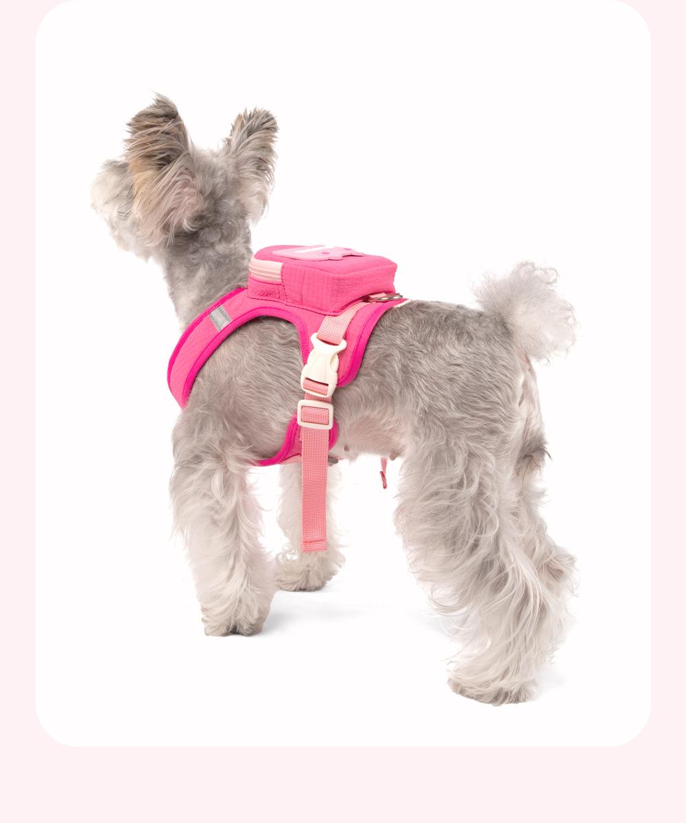 Pet Backpack & Leash Combo: Anti-Escape Harness and Leash for Outdoor Walks - Convenient, Portable Pet Carrier