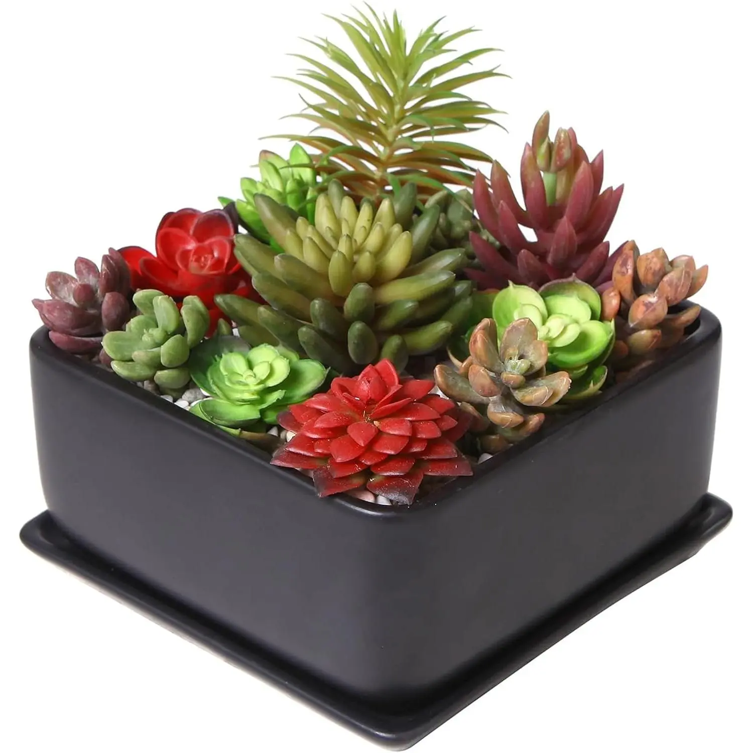 Modern Black Ceramic Square Indoor Small Planter, Flower Succulent  Pot with Drainage Hole and Removable Drip Tray