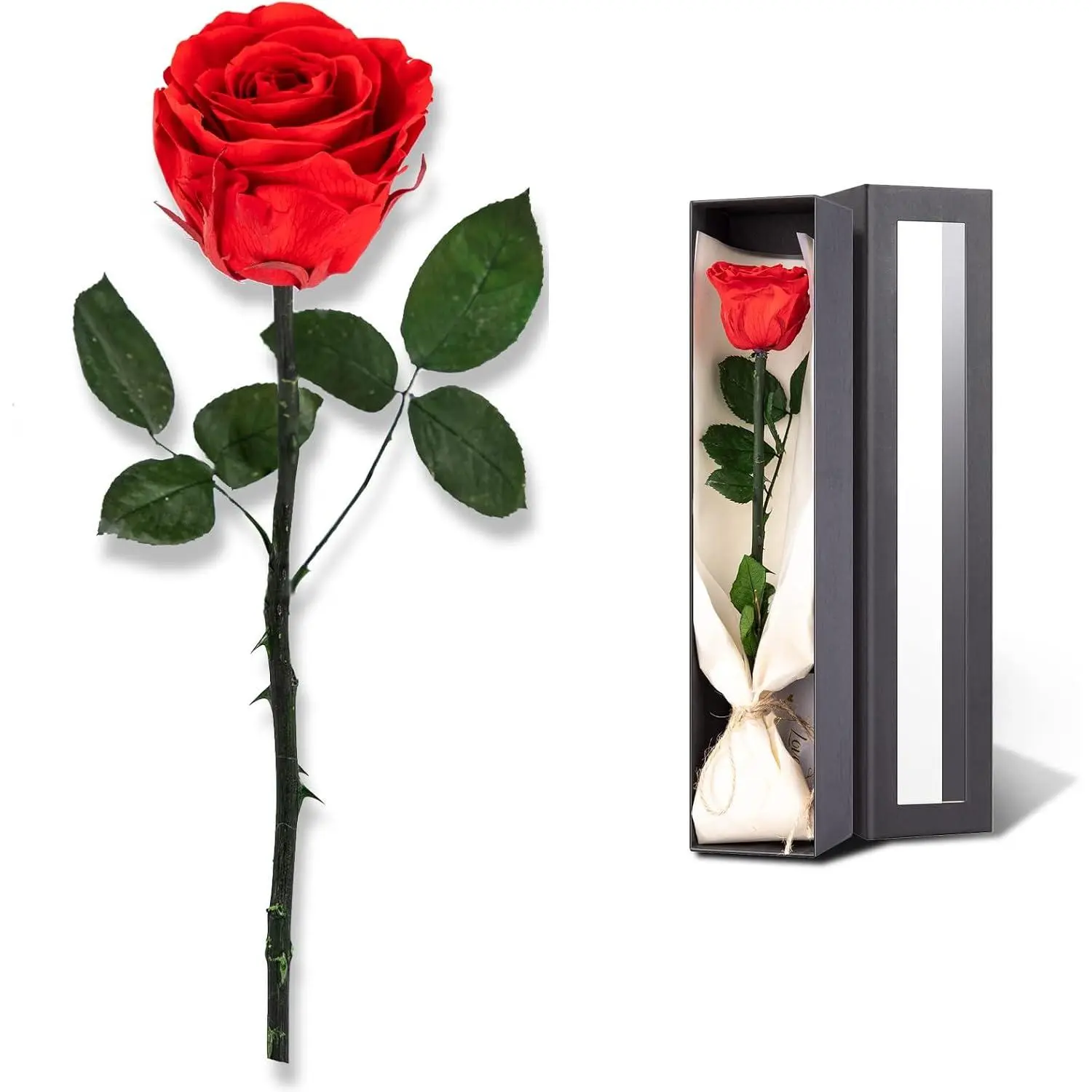 for Delivery , Preserved Roses Flower Gifts for Women, Real Roses Single Rose Presents for Her, Mom Birthday Gifts from Daughter, Valentines  Red Rose