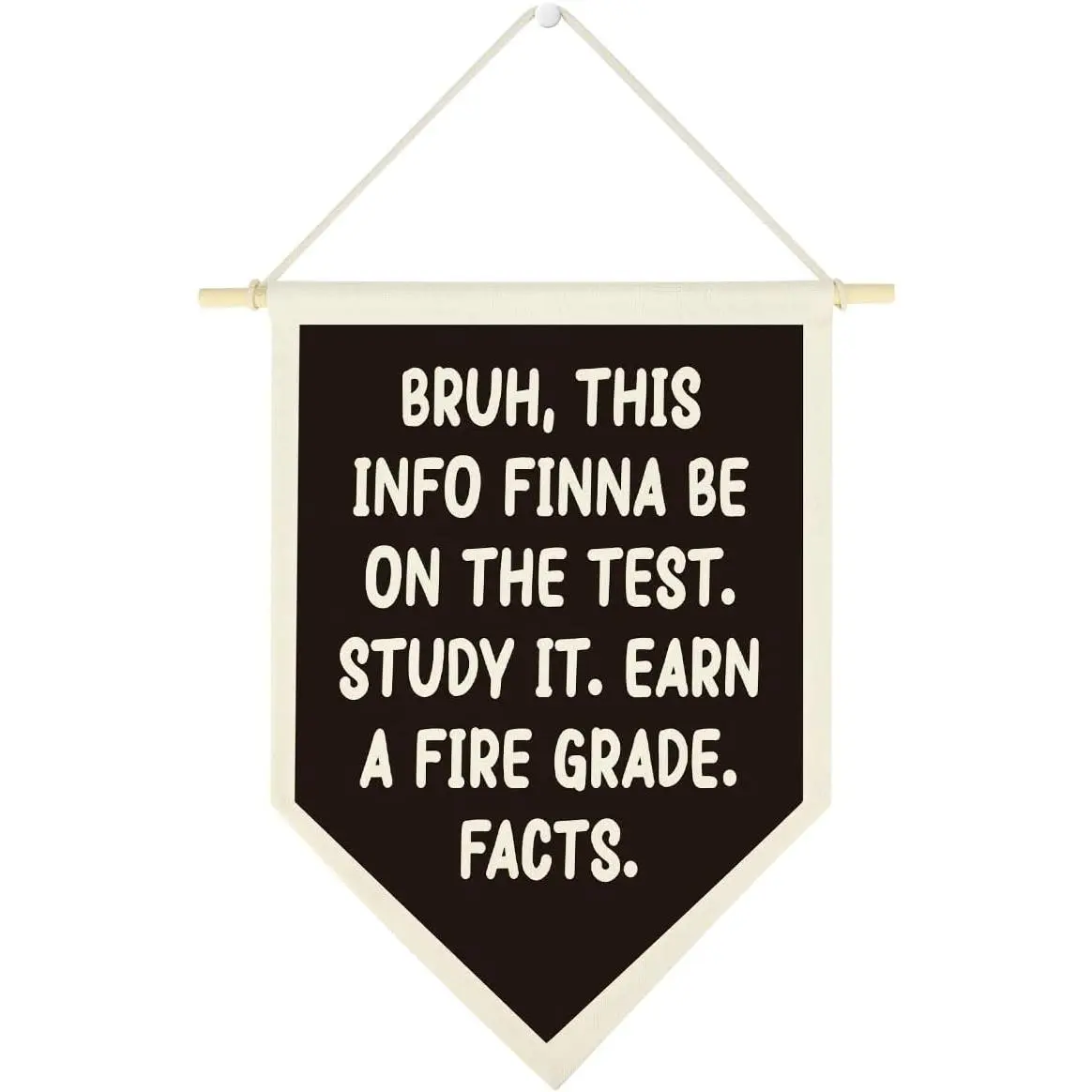 Funny English Math Classroom Middle School Classroom Posters Wall Art  Decor High School  for Teacher Teens Boys Girls Canvas Banner 12×16 Inch
