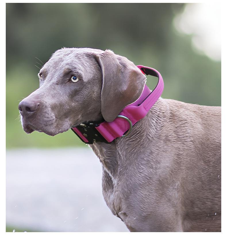 Tactical Dog Collar Heavy Duty K9 Training Collar with Control Handle and Metal Buckle for Medium Large Dogs