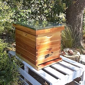 8-Frame Beehive Box Langstroth Medium Super Bee Box for Sale Wax Coated Bee Hives Includes Wooden Frames & Waxed Foundations