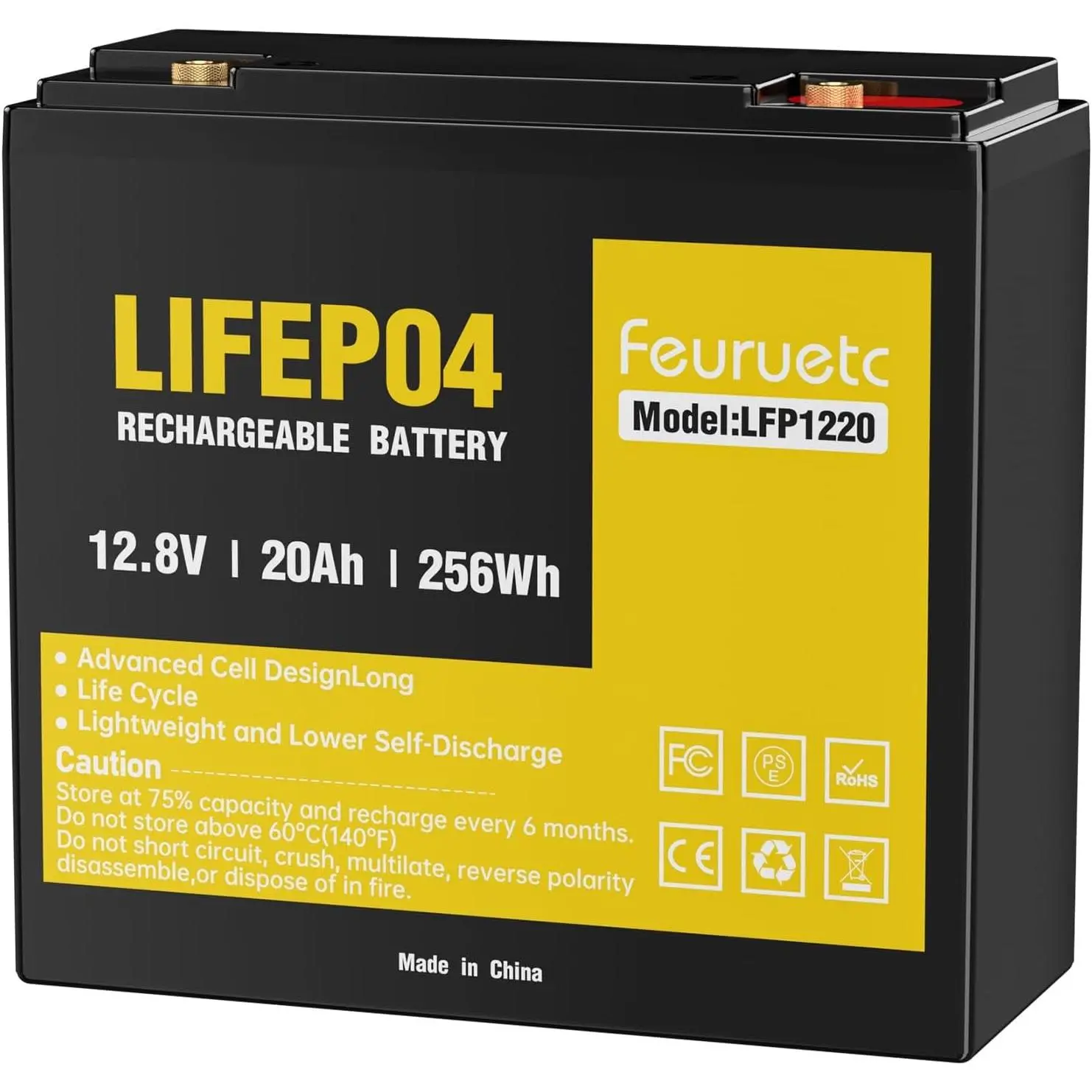 12V 20Ah Rechargeable Deep Cycle LiFePO4 Lithium Phosphate Battery, Fits Scooters, for Camping, Fish Finder, Security System, Ride-on Toys, Automotive Replacement, UPS