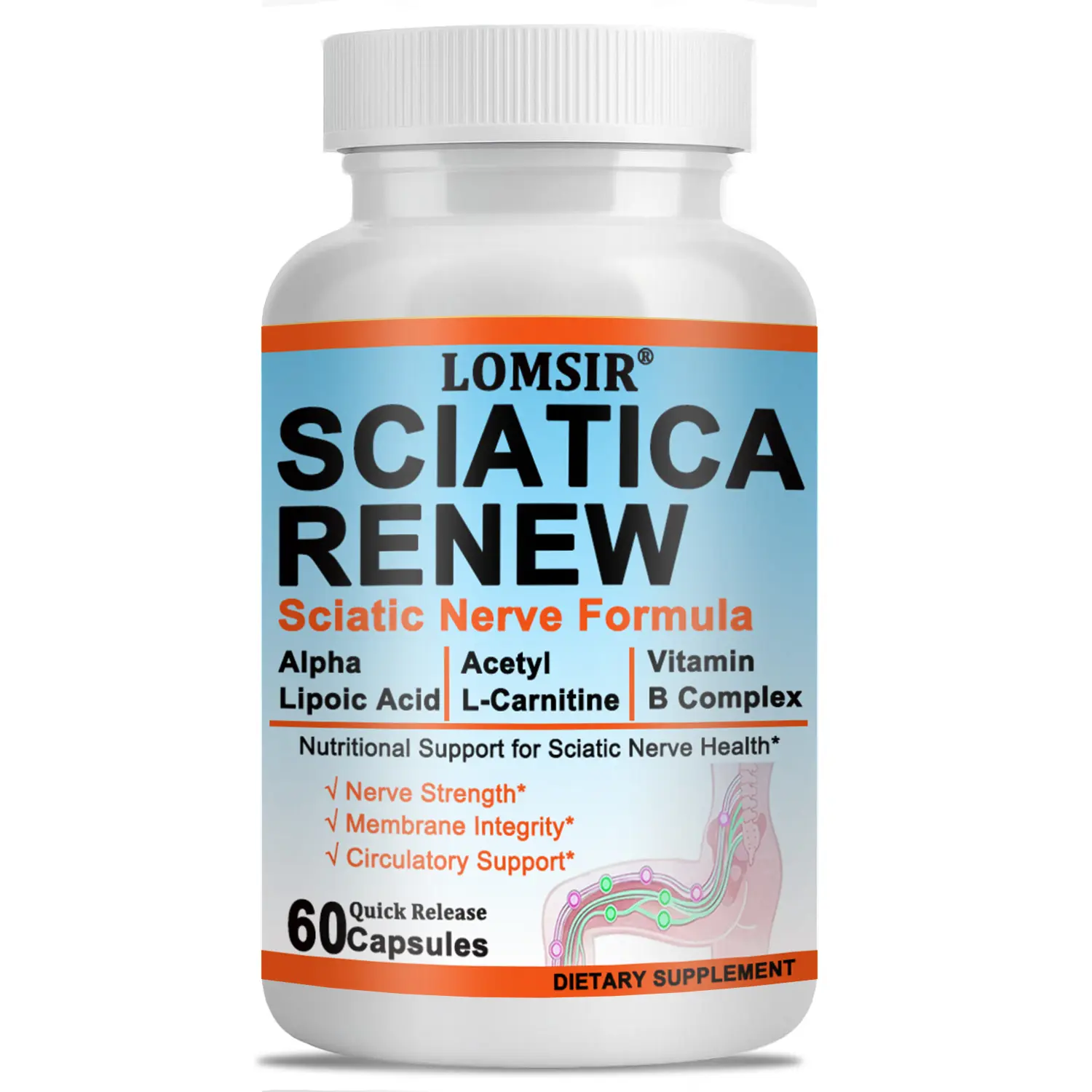 Sciatic Renew Capsules - Sciatic Nerve Health Support Supplement - Nerve Support Formula with Acetyl L-Carnitine, Vitamin B Complex, Alpha Lipoic Acid - 60 Capsules
