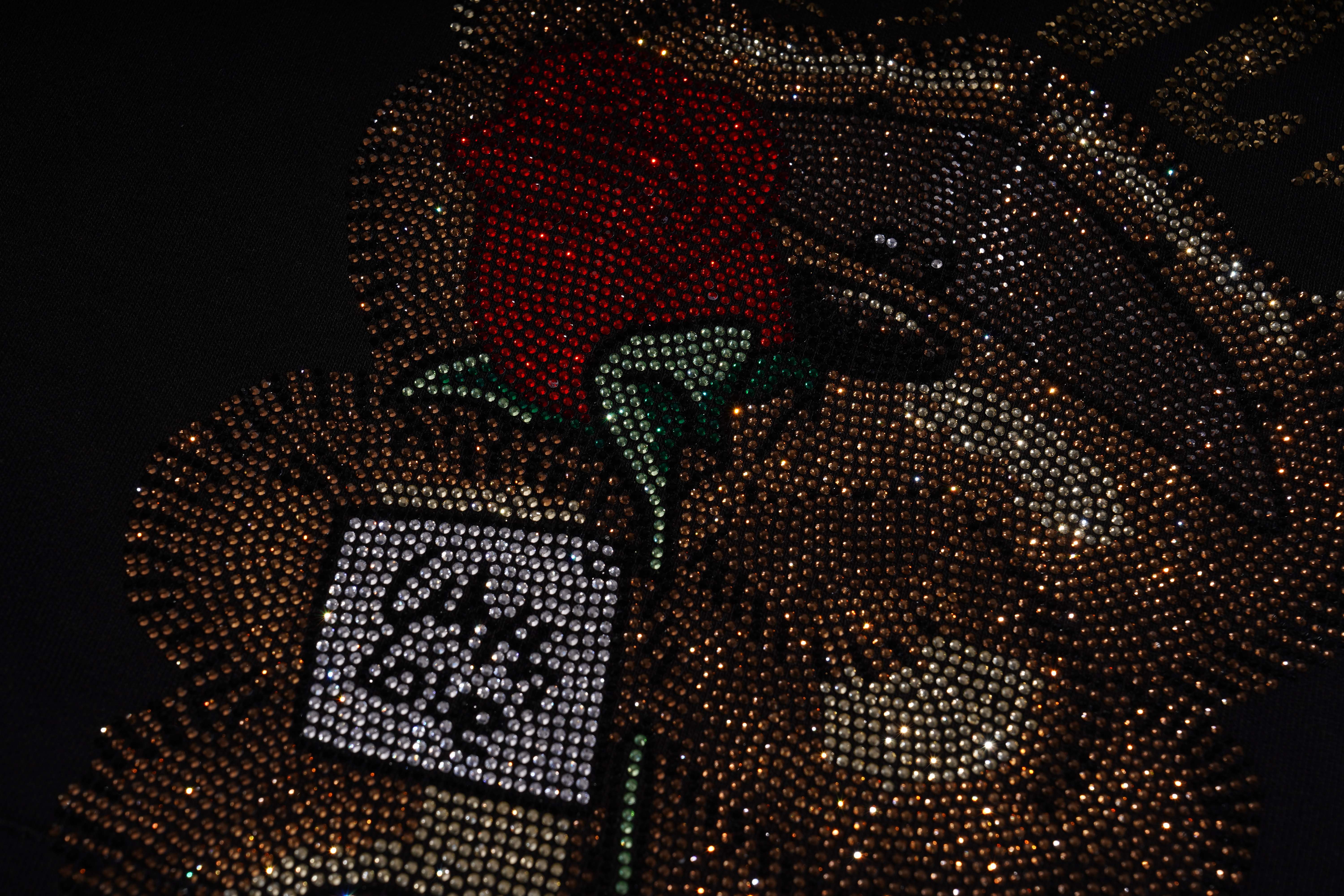 TCH - B: RARE TECHNO BEAR OVrsied -Bling Hoodie I Y2K Cyber Grunge AestheticI Rhinestone Details & Side Zippers