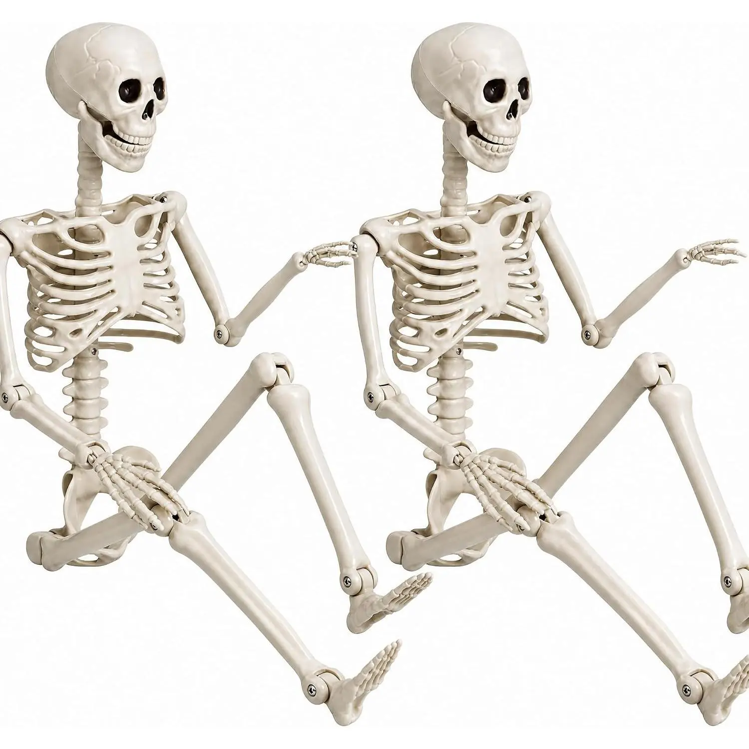 2 Pack 36" Halloween Skeleton, Full Body Life Size Posable Skeletons with Movable Joints, Realistic Plastic Human Bones Anatomy Model for Halloween Decorations Outdoor Yard Décor