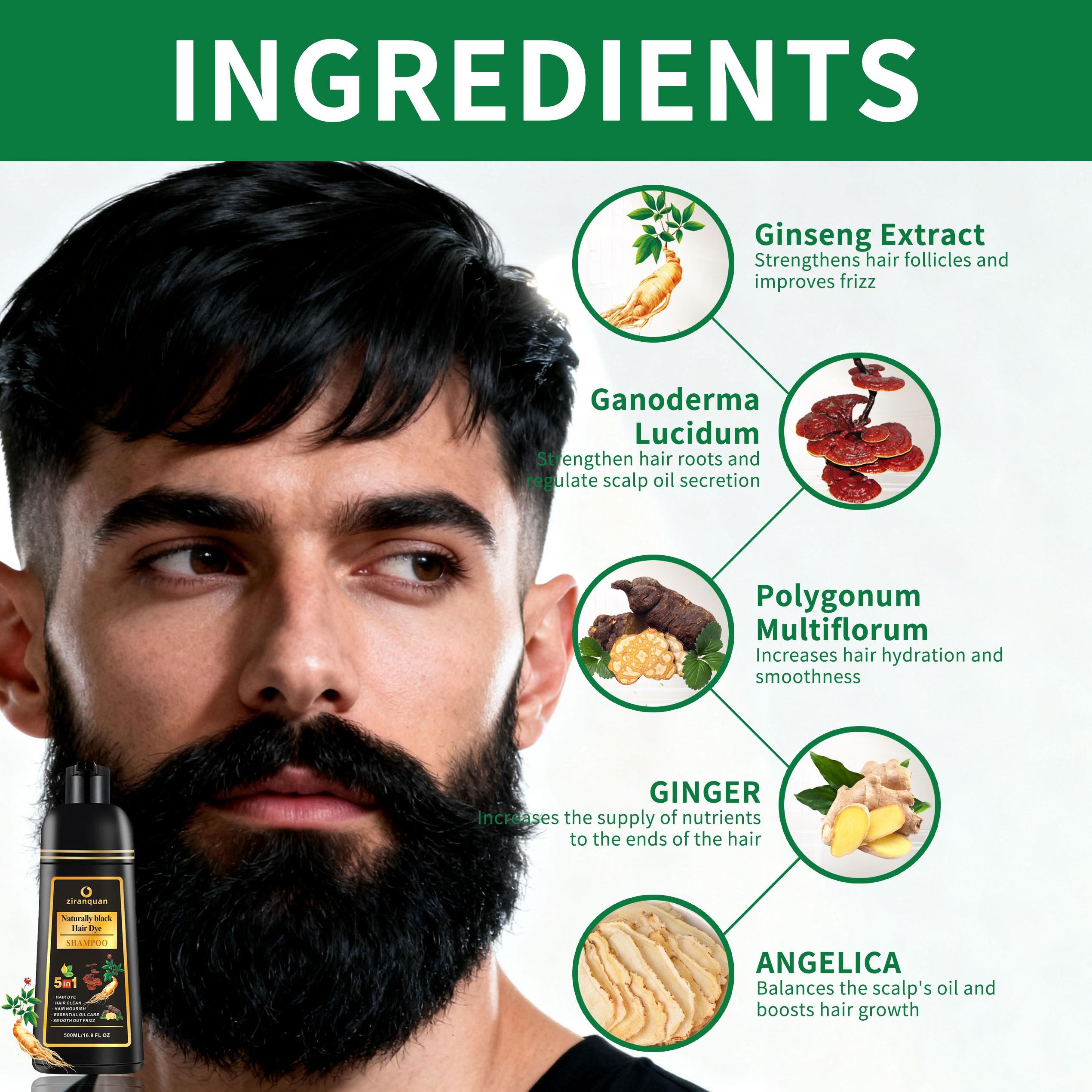 Natural Black Hair & Beard Color Shampoo with Organic Ginseng & Ginger Root Extract, 5-in-1 Instant Gray Coverage Formula for Men & Women, Sulfate-Free & Ammonia-Free Herbal Dye, Restores Shine & Strength, Long-Lasting Salon Results at Home, 16.9 Fl Oz