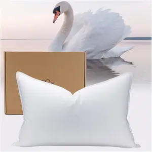 White Goose Down Pillow - Luxury Hotel Bed Pillow with  800+Fill Power, Goose Down Fiber Pillow for Sleeping, 700TC  Shell, Standard Size - Firm, 1 Pack