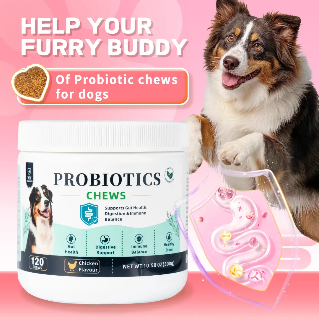 Dog Probiotic Soft Treats, Chicken Flavor Universal Digestive Aid & Gut Support Supplement for All Breeds, Balanced Flora Promotion