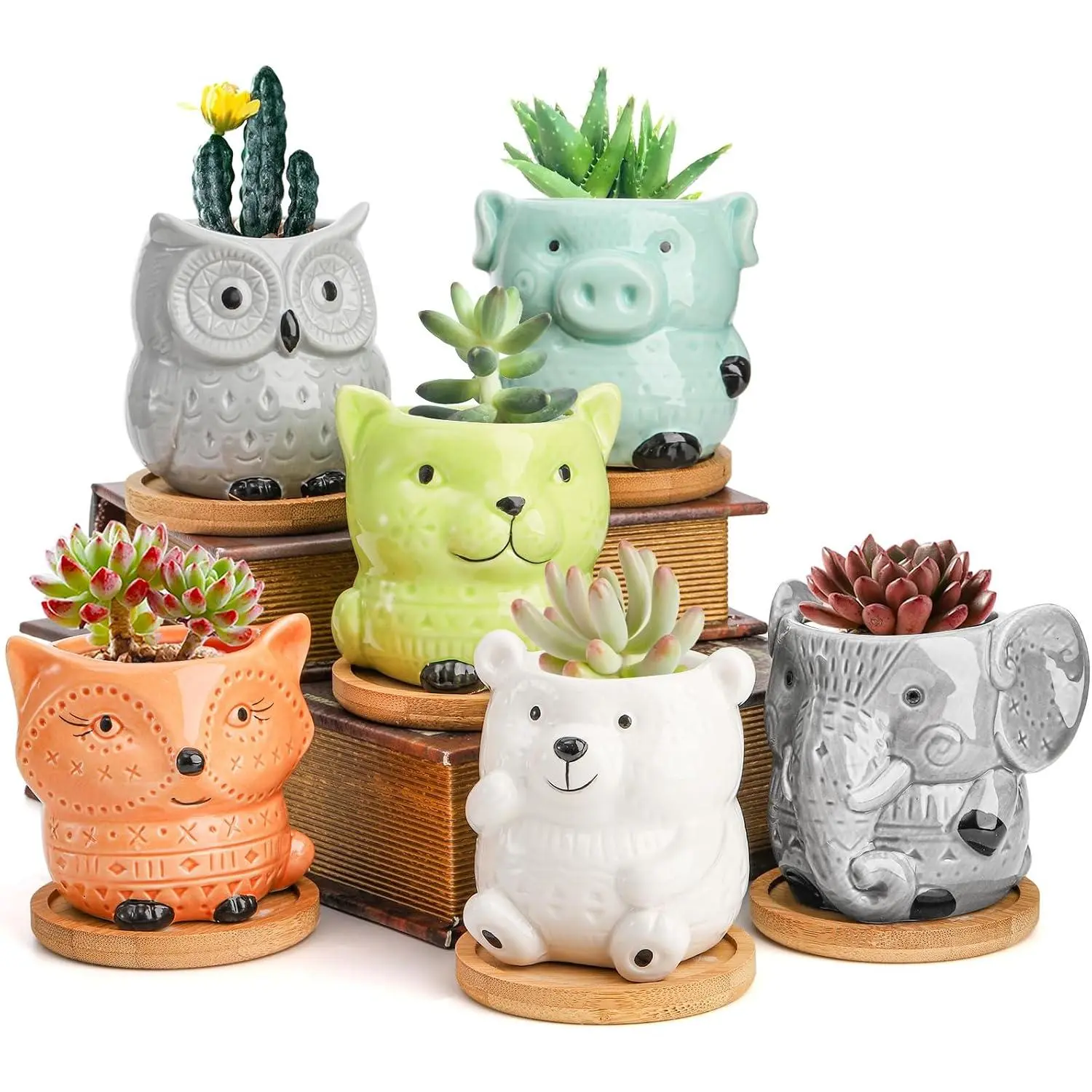 6 Pack Small Ceramic Succulent Planter With Drainage and  Tray, Cute  Flower Pots for Indoor , Cactus, Garden,  Decor