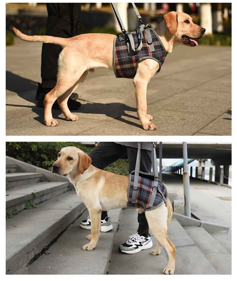 Dog Rear Leg Recovery Sling Post-Operative Rehabilitation Harness for Senior & Disabled Dogs Assistive Walking Leg Brace New Arrival Support Harness Injury Aid
