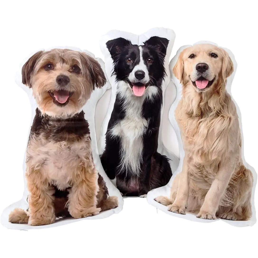 Picture Pillow Custom Pet Pillow Dog Pillows Gift (14", Colorful)