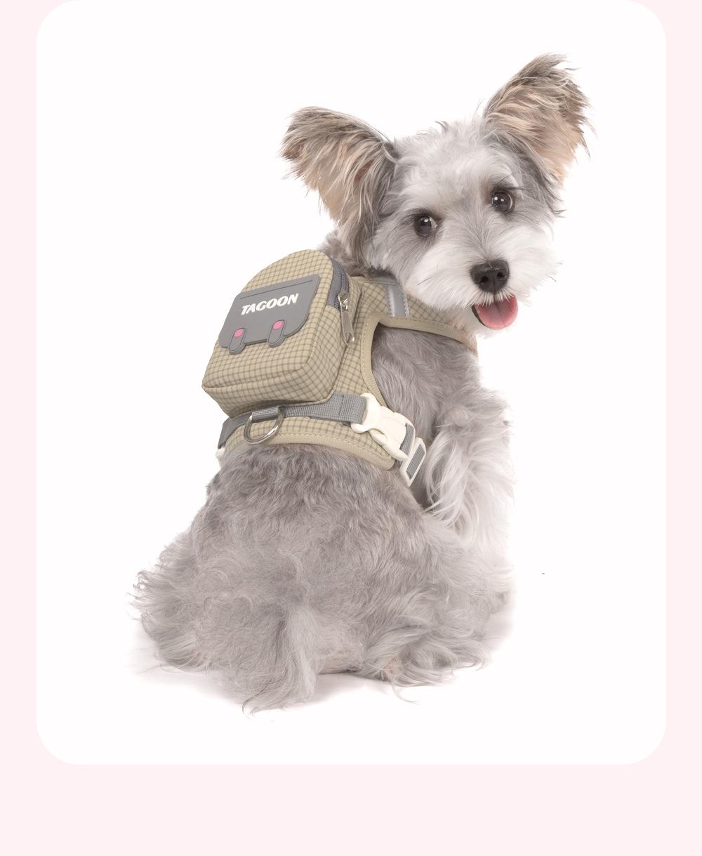 Pet Backpack & Leash Combo: Anti-Escape Harness and Leash for Outdoor Walks - Convenient, Portable Pet Carrier
