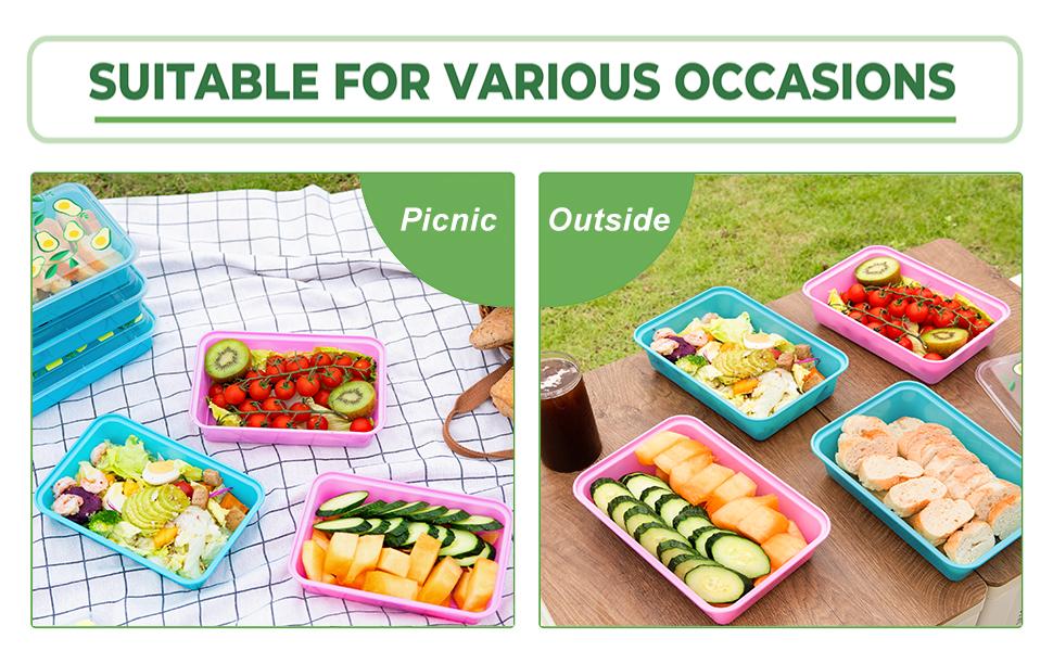 10 Pack 42 oz Meal Prep Containers, Reusable Plastic Food Prep Storage Containers with Printed Lids, Stackable, Leakproof, Microwave & Freezer & Dishwasher Safe,To Go Take Out Box, Avocado