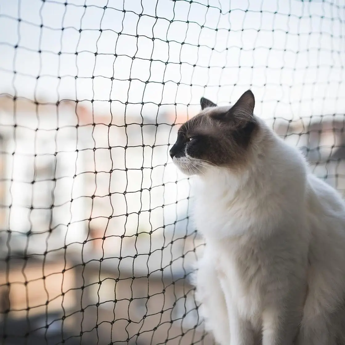 10*13ft Black Nylon Anti-Fall Cat Mesh Safety Fence Netting for Balcony and Windows