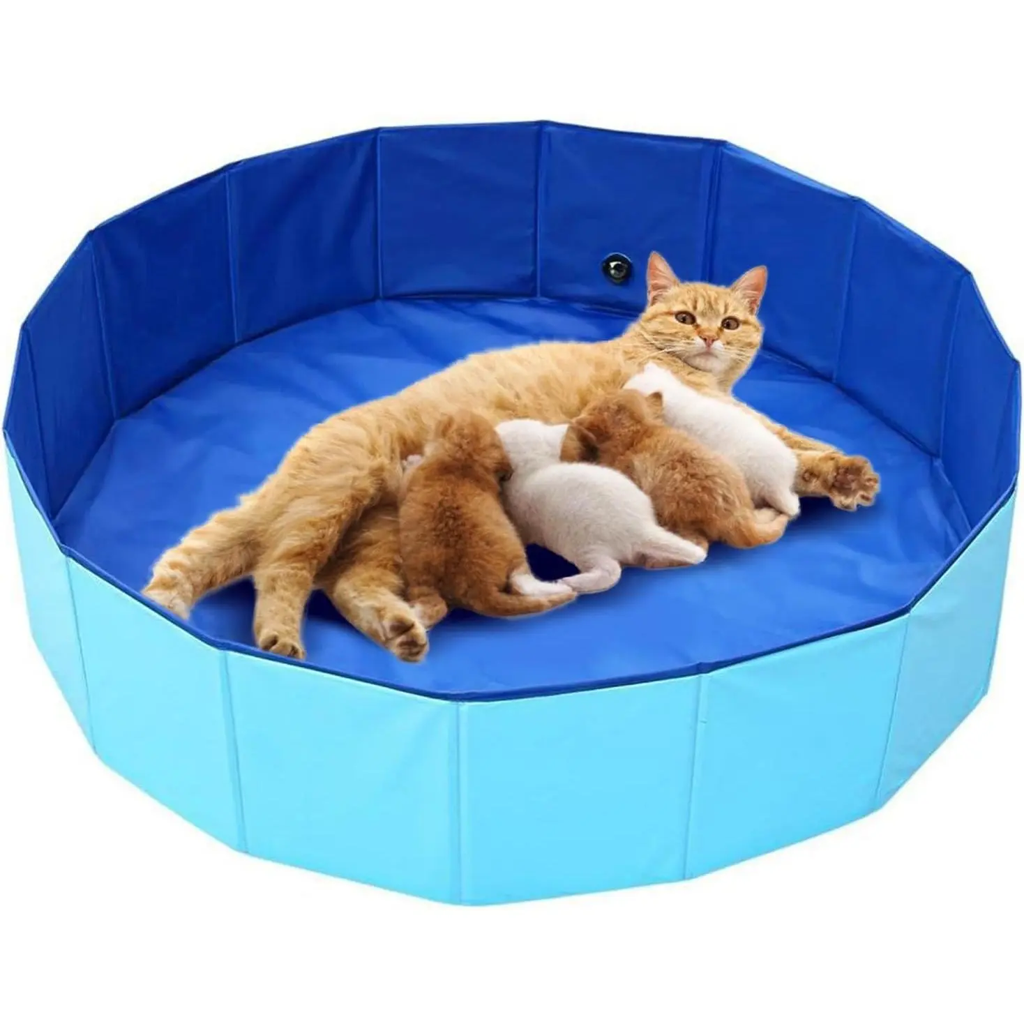 32" Large Cat Birthing Box - Foldable, Water-Resistant, Easy-to-Clean Pet Whelping Box for Queen Cats, Indoor/Outdoor Safe Delivery Essential Kitten Supplies