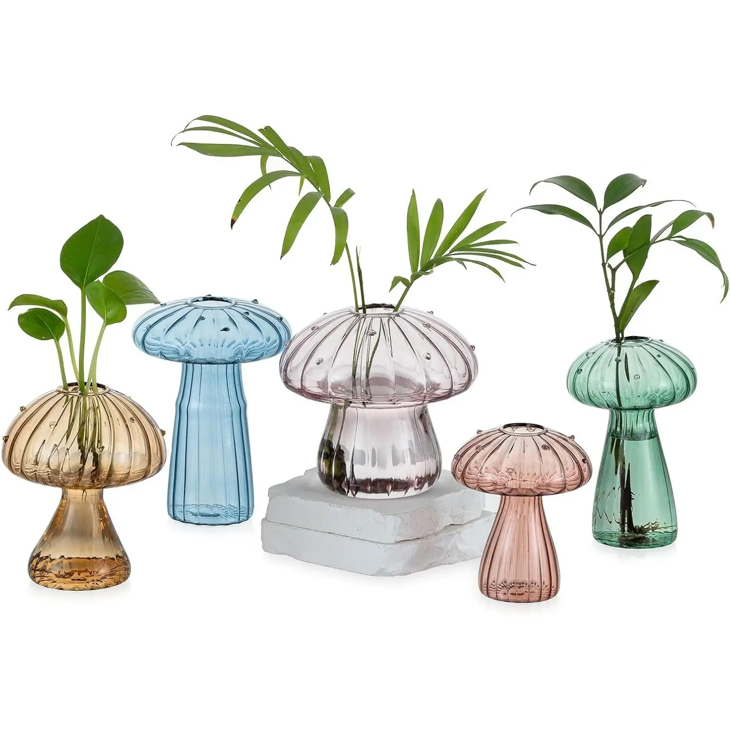 Mushroom  Propagation Stations: 5 count Glass Propagation Vases | Colored, Hand-Blown, Small Hydroponic Terrarium Jars, Cute Planter, Windowsill, Table, Indoor , Gifts for Women, Mom