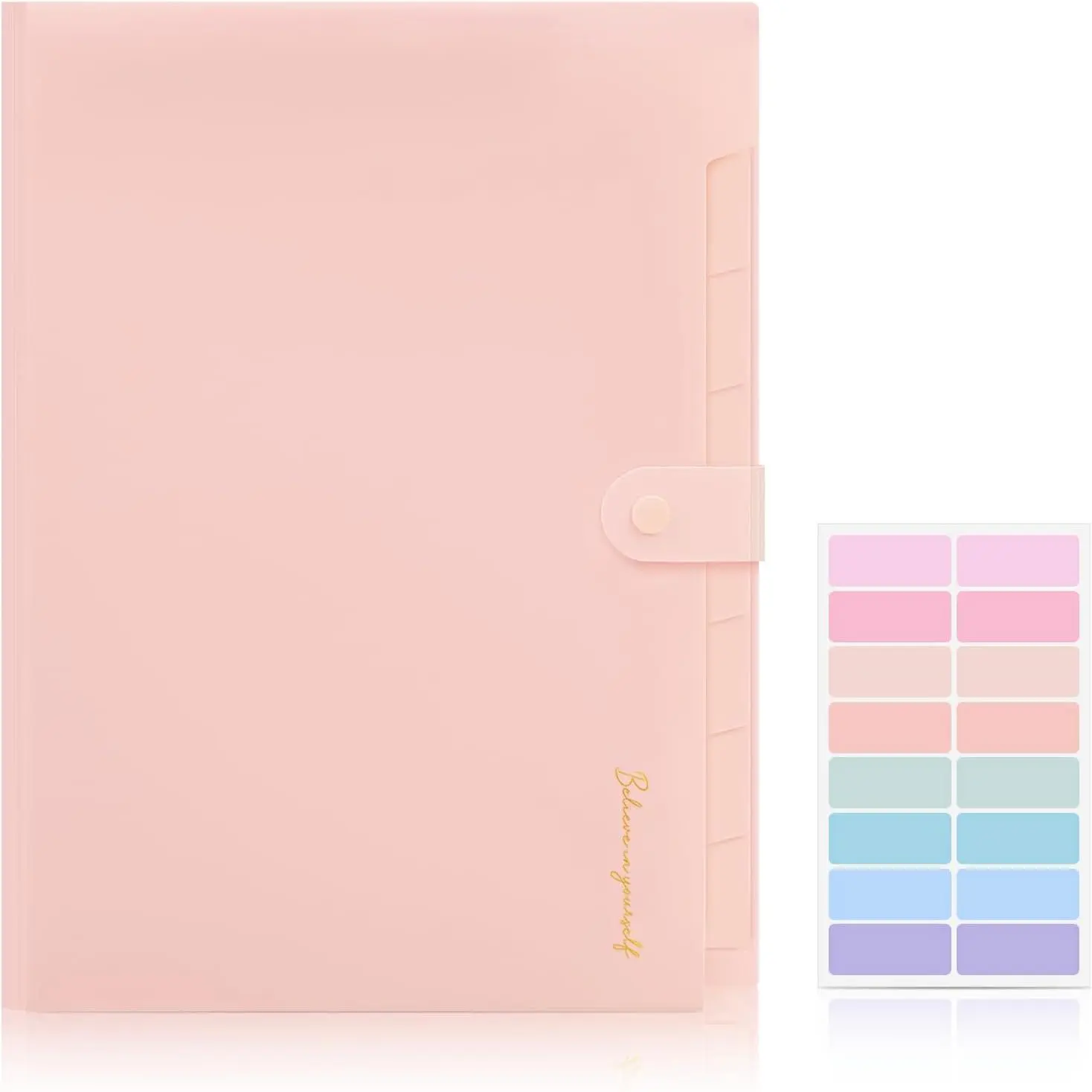 Expanding File Folder with 8 Pockets, Accodion File Organizer with Snap Closure & Lables, Durable Portable Bill Receipt Paper Holder for , School, Office Supplies, Letter Size,