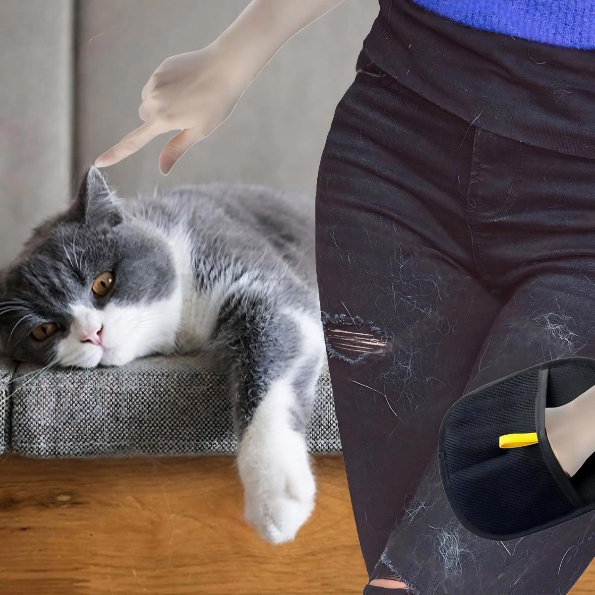 Pet Hair Remover Glove, Electrostatic Removal Gloves for Pet Hair, Pet Hair Remover Gloves for Dog & Cat, Reusable Pet Hair Remover Glove for Carpet, Couch, Clothing, Furniture Pet Hair Remover Glove, Electrostatic Removal Gloves for Pet Hair, Pet Hair Remover Gloves for Dog & Cat, Reusable Pet Hair Remover Glove for Carpet, Couch, Clothing, Furniture