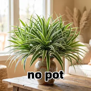 12 Pcs Artificial Spider Plant, Fake Greenery Plant, Faux Chlorophytum Comosum, Decorative Silk Greenery with Edges, Indoor Outdoor Decor