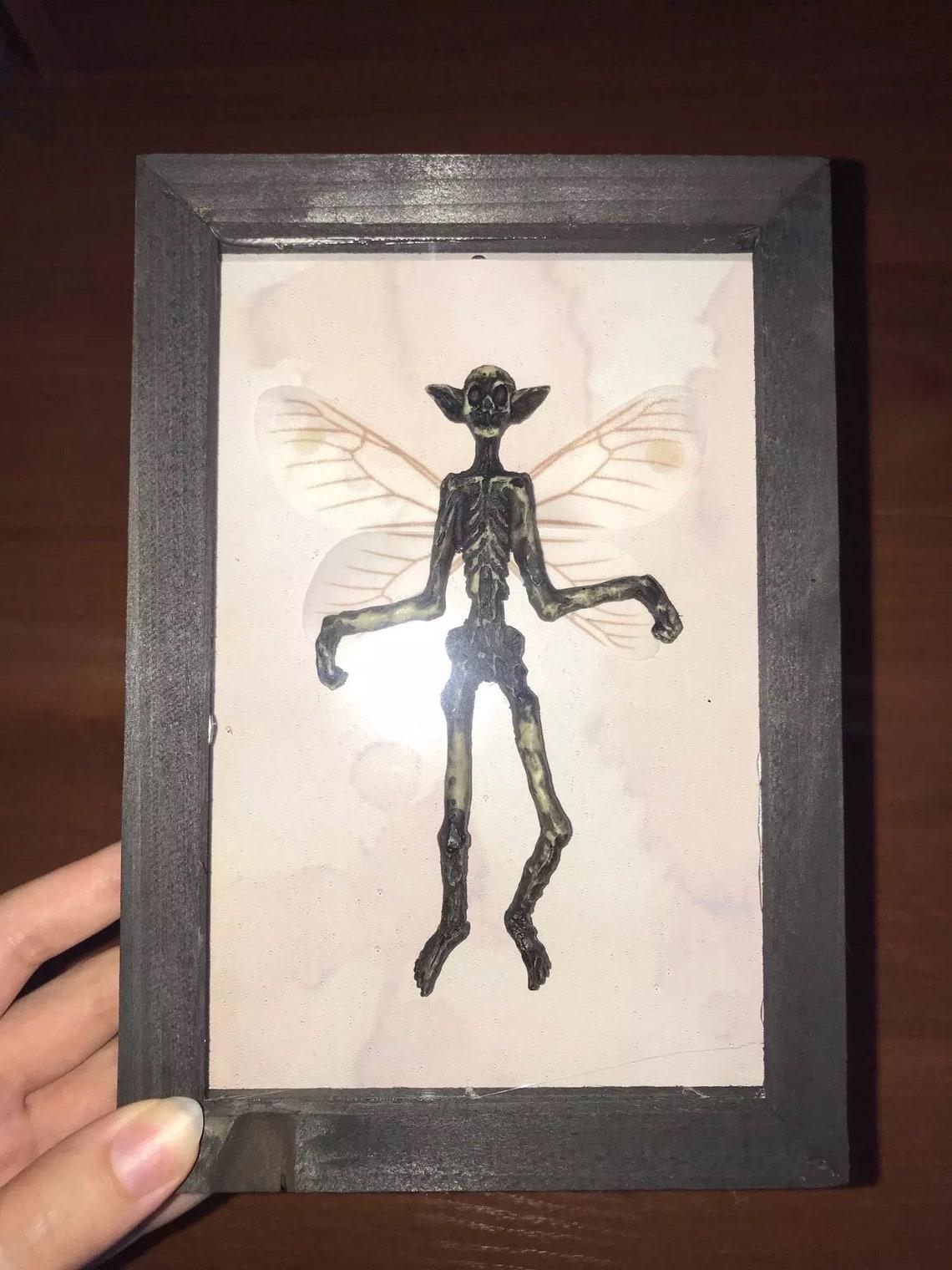 Gothic home decor Mummified fairy Fairy skeleton Witchy decor Fairy specimen Statue Picture Frames Display Painting 2023