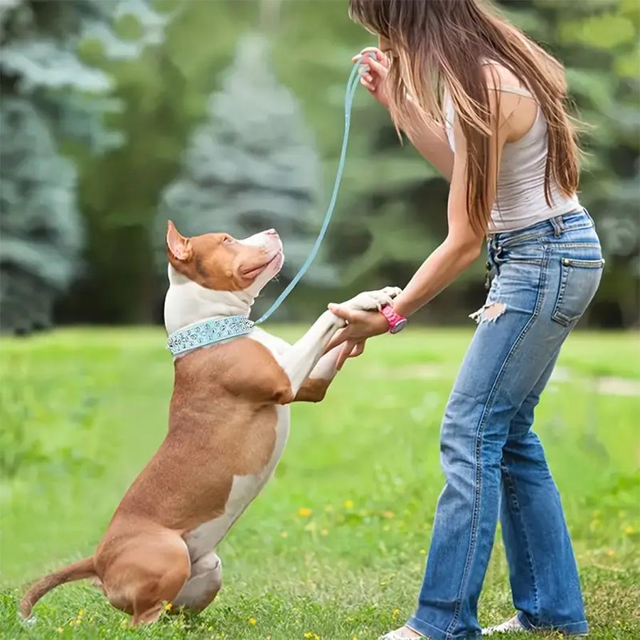 Rivet Dog Collar & Swivel Leash Set, Leash Included, Adjustable Pet Studs Collar, Durable Dog Walking Equipment, Fashionable Pet Walking Essentials, Dog Accessories Tools, Easter Gifts