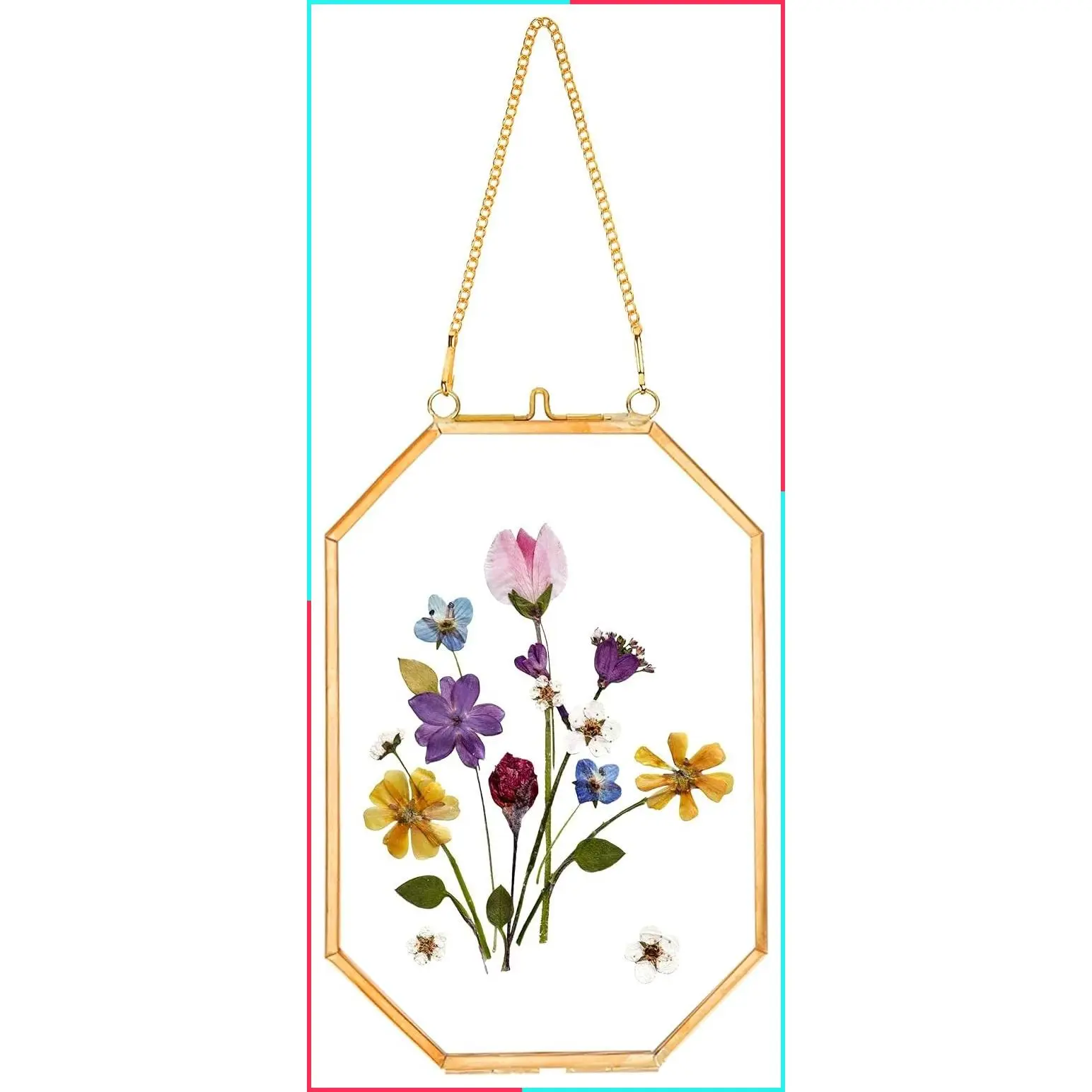 Pressed Flower Glass Floating Frame, Hanging Brass Photo Frame with Chain, Double Clear Glass for Displaying Dried Plant Specimen Picture, Vintage Octagon Wall Decor, Gold, 4x6 Inches