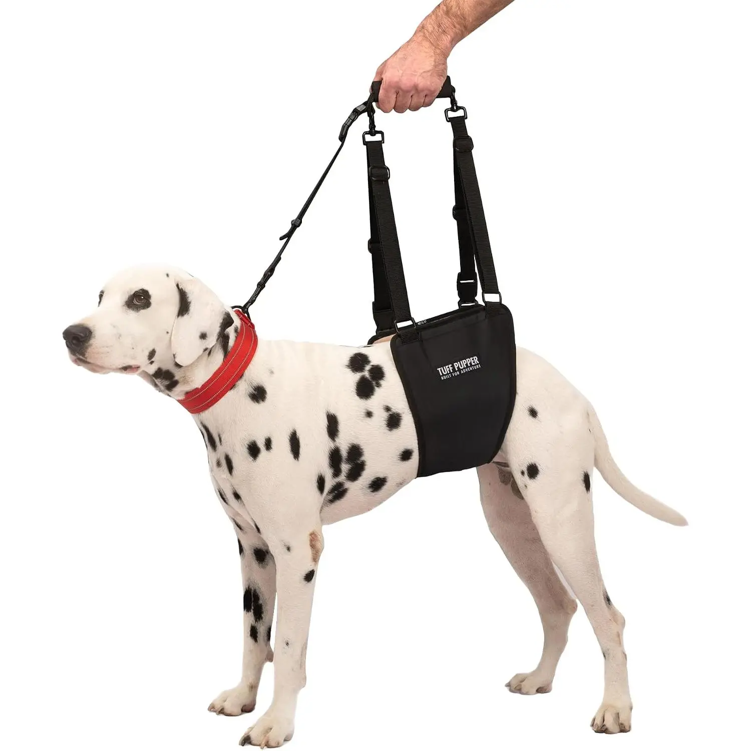 Tuff Pupper Dog Hip Sling Harness - Mobility Aids for Senior Dogs, Large Breeds - Adjustable Rear Lift Support, Strong Padded Handles, Comfortable Hip & Hind Leg Assistance (Medium/Large, Male)