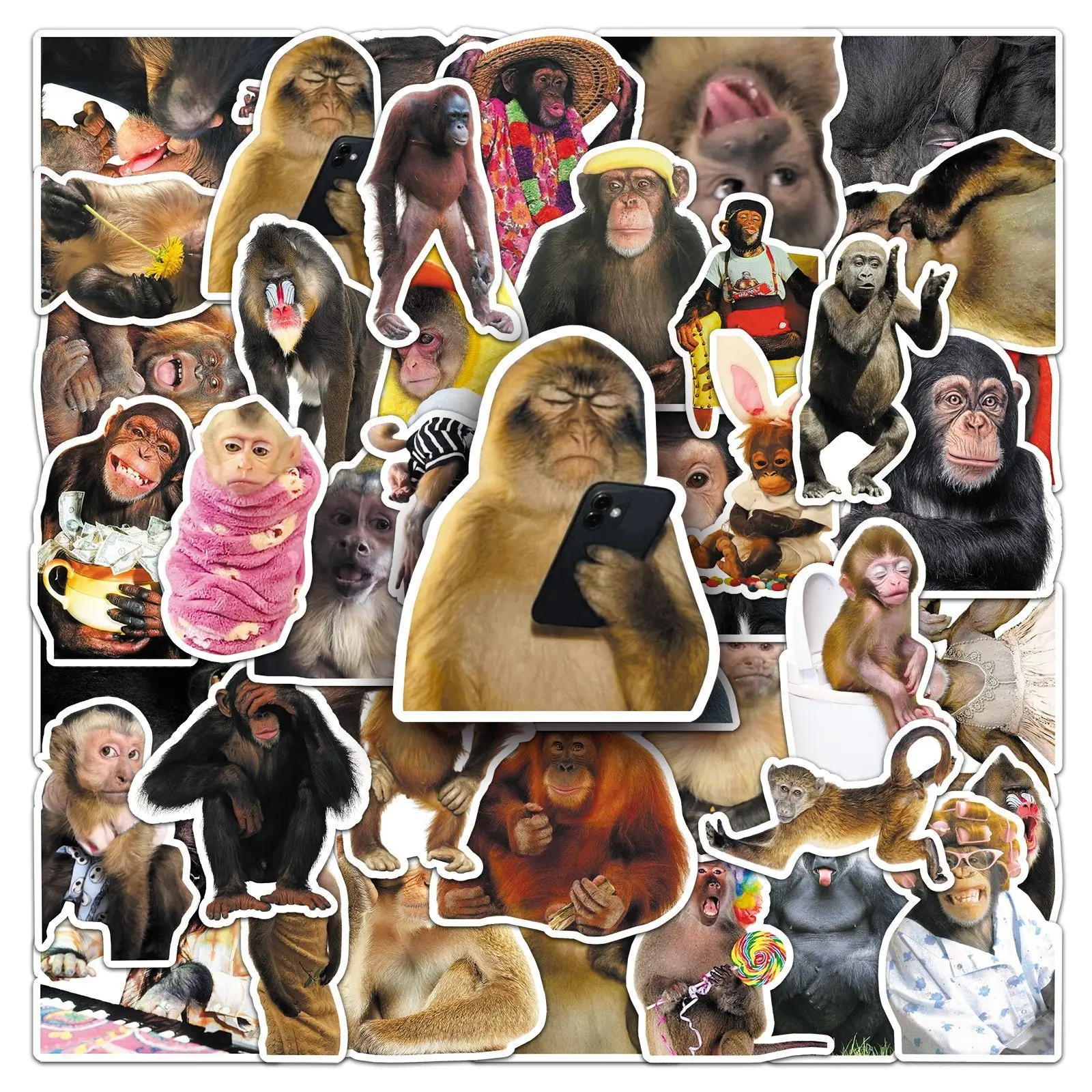 50 Crazy Monkey Stickers, Funny Momo Emoticons, Waterproof Decorative Stickers for Phone and Luggage, Fun Primate Designs