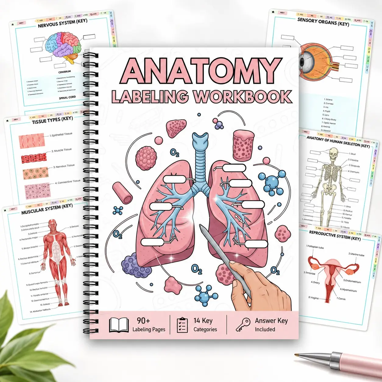 Anatomy Labeling Workbook A5 Spiral Notebook, 90+ Human Anatomy Practice Pages, 14 Major Body Systems Including Respiratory System, Digestive System, Nervous System, Muscular System, Skeletal System, Answer Key Included