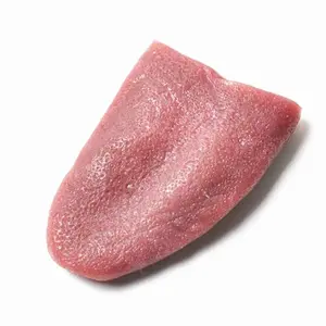 1pcs Horrible Stretchable Tongue Realistic Magic Tricks False Tongue Gimmick Prop Elasticity Fools' Day Joke Toy Accessories Ball Stress Sugar Duck,stress ball,slime party gift set