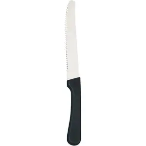 Round Tip Steak Knife with Plastic Handle, 5 Inch Blade -- 12 per Case