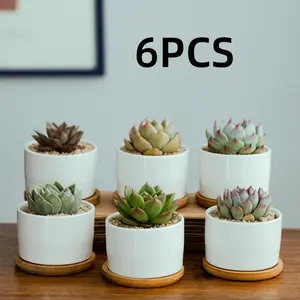6pcs Ceramic Succulent Pots with Bamboo Tray, Simple Creative Indoor Outdoor Planters, Office Desk Balcony Decorations