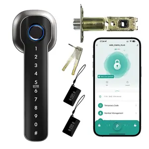 Fingerprint Lock Smart Handle, Bluetooth-compatible Graffiti Fingerprint Unlock, Office Ball Shape Password Lock, Home Use, Hl10a Model