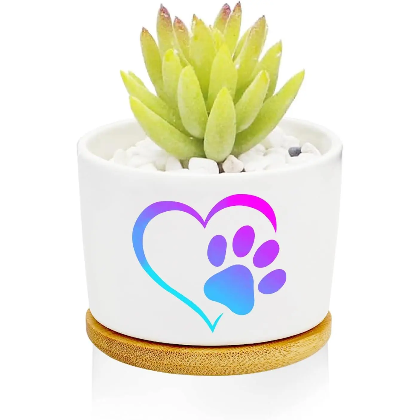 1 count  Claw Succulent Pots with Drainage and  Tray, Ceramic Pot | 3 Inch Small Planters for ,Cactus,Decoration for Office ,Garden,Windowsill,Gifts for Women Mom (No  Included)