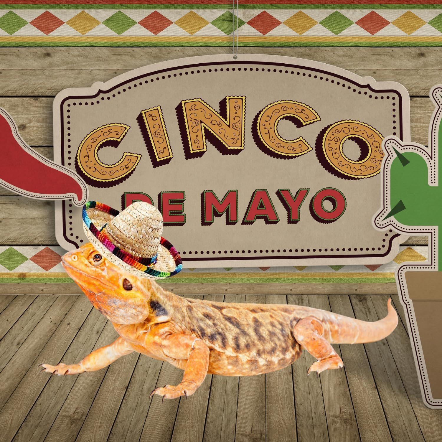 Mexican colorful rope pet hats for lizards, cats, and dogs, summer straw hats, Cinco de Mayo holiday costumes