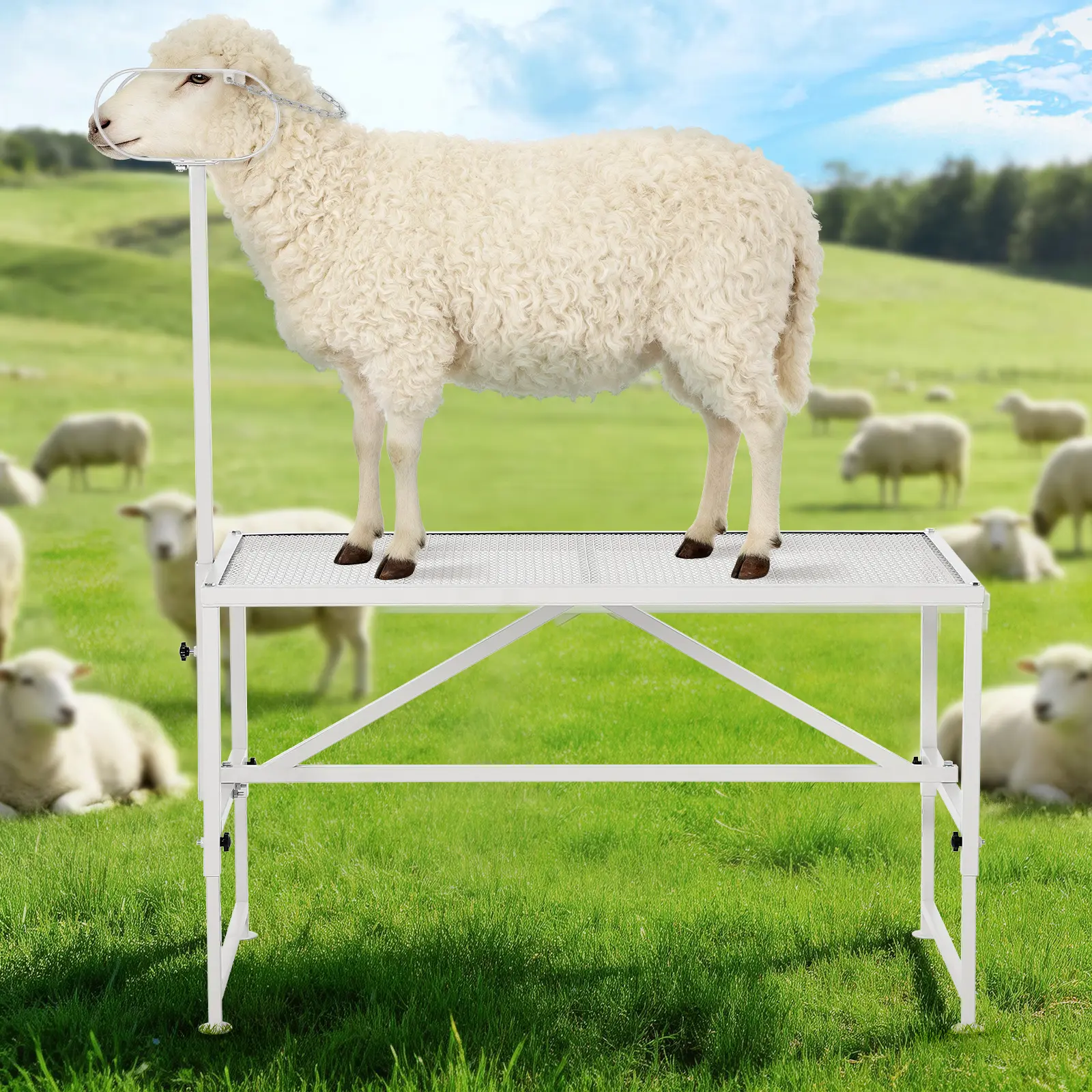 Goat Livestock Stand - 47x23 Inch Adjustable Metal Milking & Trimming Stand, Livestock Stand, Metal Sheep Milking and Shearing Stand 20.8" to 31.1" Adjustable Height, with Headpiece and Nose Loop