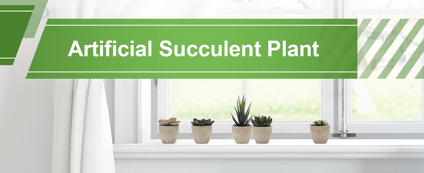 Artificial Succulent Plants Potted, Assorted Decorative Faux Succulent Potted Fake Cactus Cacti Plants with Pots, Set of 5 Artificial Succulent Plants Potted, Assorted Decorative Faux Succulent Potted Fake Cactus Cacti Plants with Pots, Set of 5