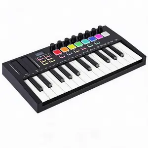 Portable 25 Key MIDI Keyboard Controller, Wireless USB MIDI Controller with Assignable Buttons Arpeggiator Function, Lightweight ABS MIDI Pad for Home Studio Travel Recording