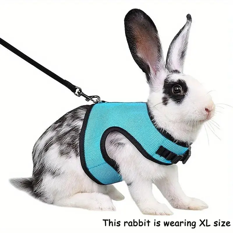 Cat Harness Rabbit Harness with Elastic Leash, Bunny Harness and Leash, Adjustable Vest-style Harness, Soft Elastic Pet Vest for Rabbits & Small Animals, Pet Supplies