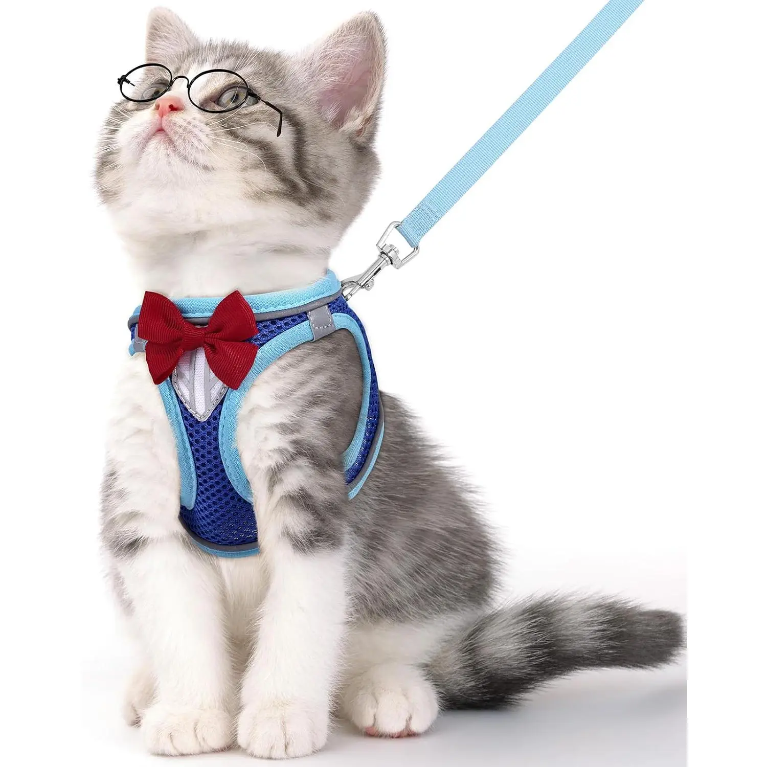 Vest Harness and Leash Set for Walking Escape Proof, Adjustable Kitten Harness Breathable Mesh with Reflective Strips Harness for Kitty Puppy Bunny (Blue, XS)
