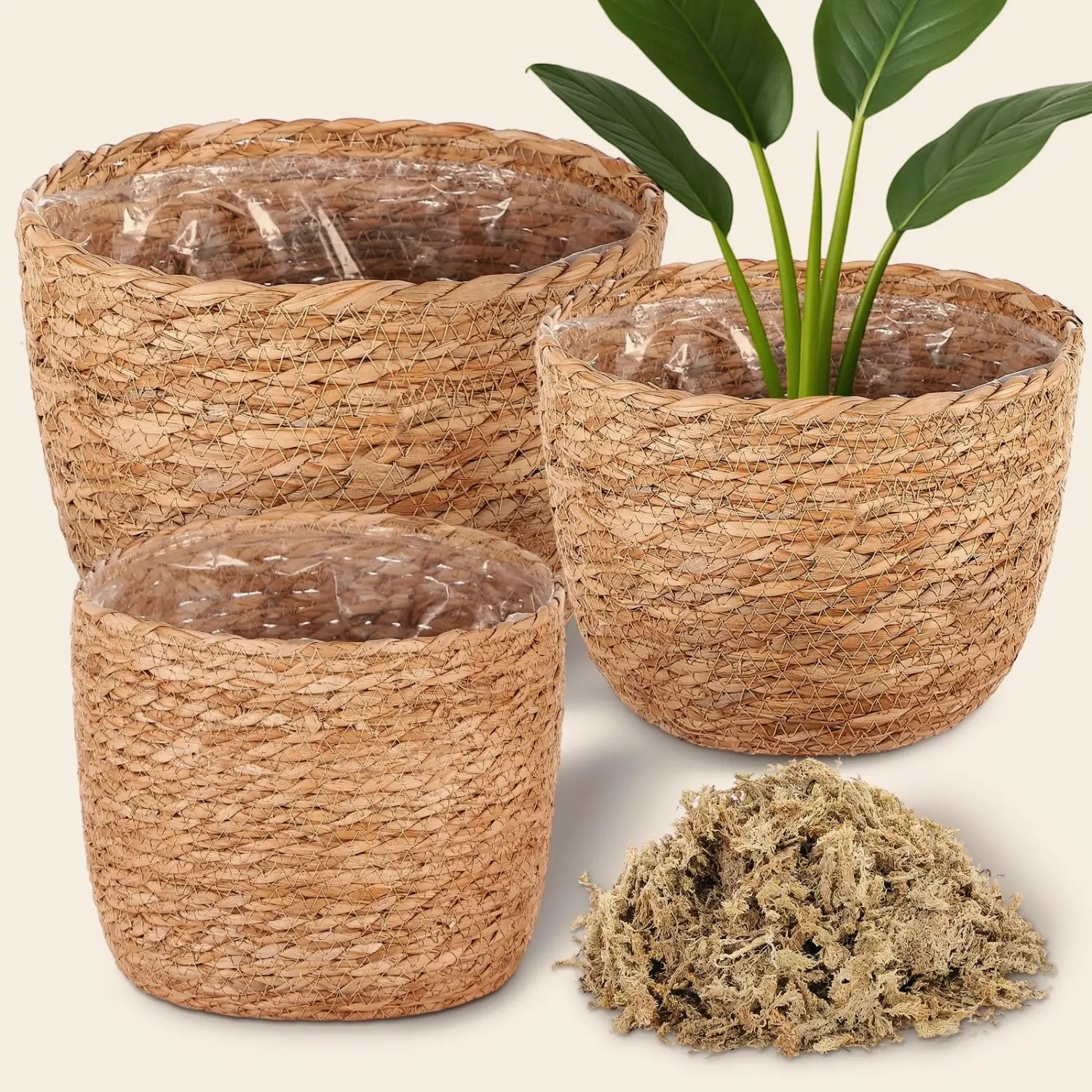 3 Pack Handwoven Seagrass Plant Baskets with Artificial Moss Lining, Breathable Flower Planter Pots, Lightweight Storage Baskets for Succulents, Herbs and Various Potted Plants, Stylish Decor for Indoor and Outdoor Garden Layout