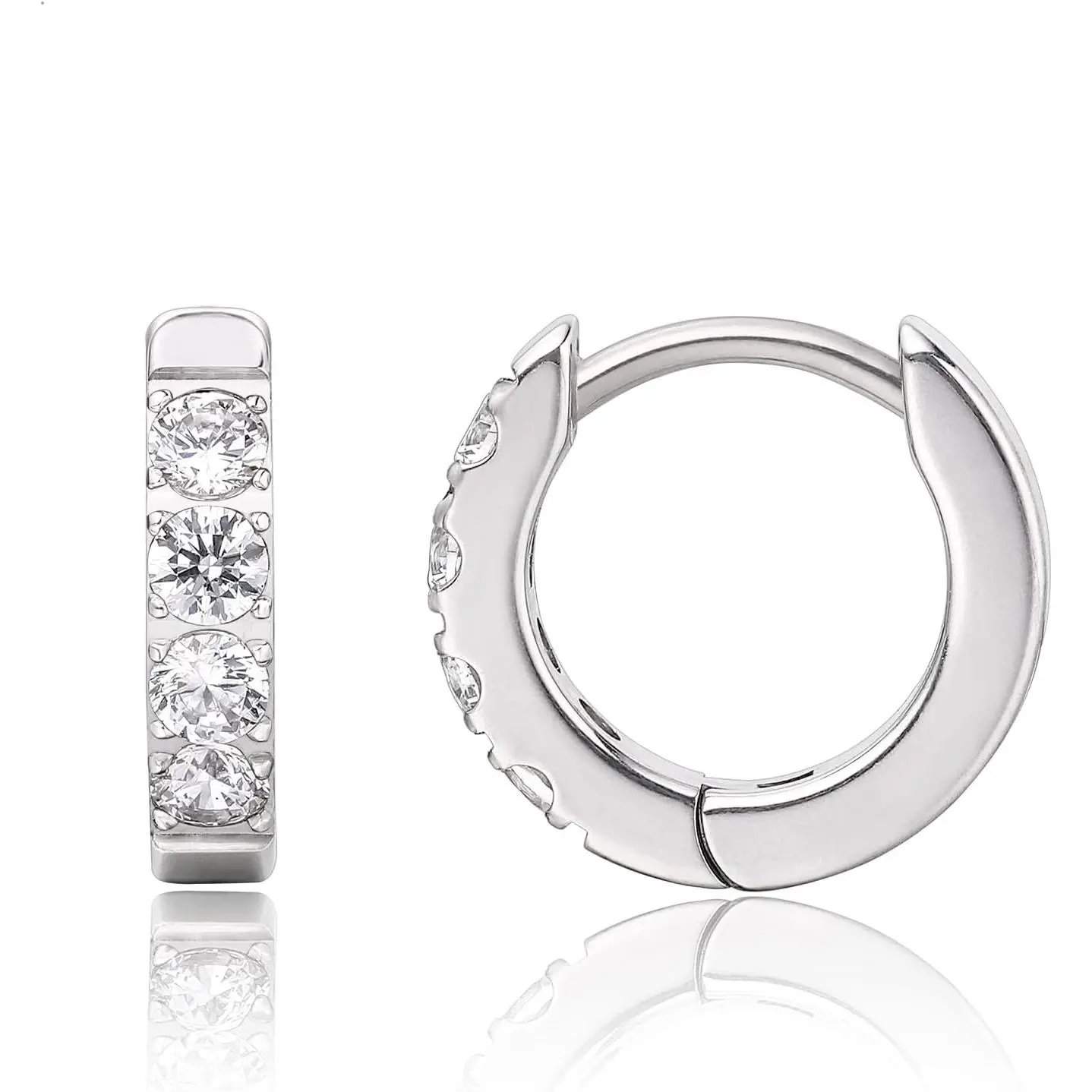 G23 Pure Titanium  Huggie Hoop Earrings for Women  Ears