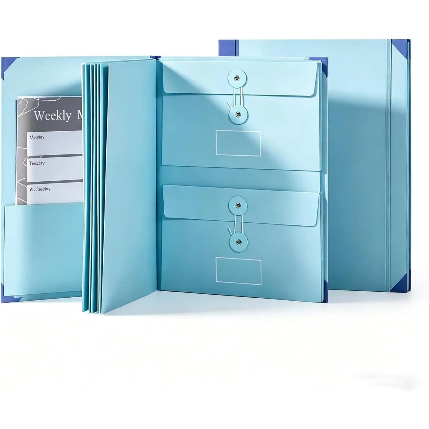 The Life Book Document Organizer - Binder for Important Documents with Labels, in Case i  Binder, Accordion Expanding File Folder for Important Papers//Birth  (Blue)