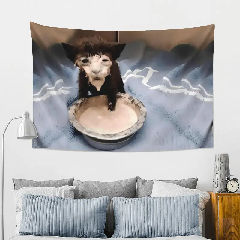 Funny Smeared Kitten Tapestry, Black Cat Meme Wall Hanging, 60in x 40in Peach Skin Fabric Single-Sided Decor for Bedroom Living Room Dorm Classroom Studio, Ridiculous Cat Wall Art Home Decoration Gift