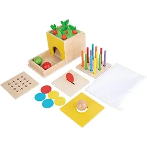 Montessori 5 in 1 Wooden Montessori Play Kit Baby Toys,Object Permanence Box,Matchstick Color Drop,Cotton Swab Drop Game,Carrot Harvest and Coin Box for Kid 1 Year Old,Gift for Baby 6-12 Monthfidget toys