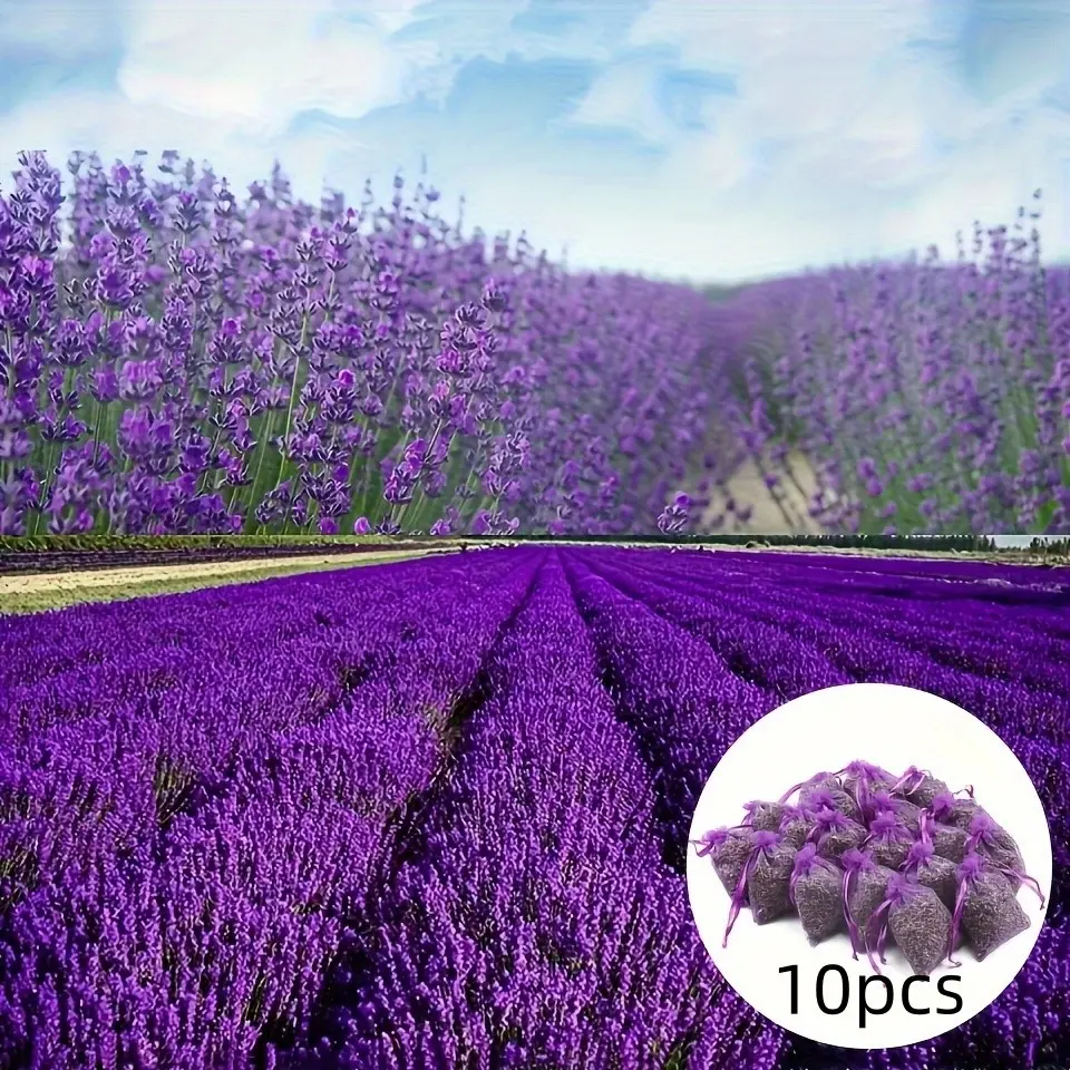 10pcs Long-Lasting French Lavender Sachets, Fresh Scents for Clothes Storage, Home Decor, New Lavender Buds, Stick Form