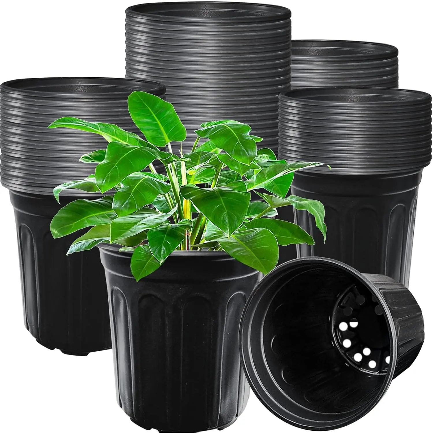 60 Pack 1 Gallon   Pots,Thickened Flexible Plastic Seedling Pot with Holes,Flower  Container for ,Cuttings,Transplanting, Garden(Black)