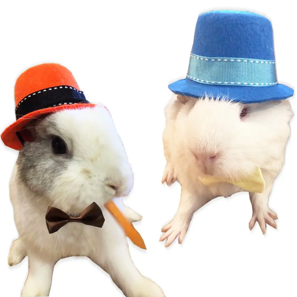 Pet Costume Hat for Halloween and Christmas, Funny Transformation Hat for Rabbits, Guinea Pigs, Chinchillas, Hedgehogs, Small Pets