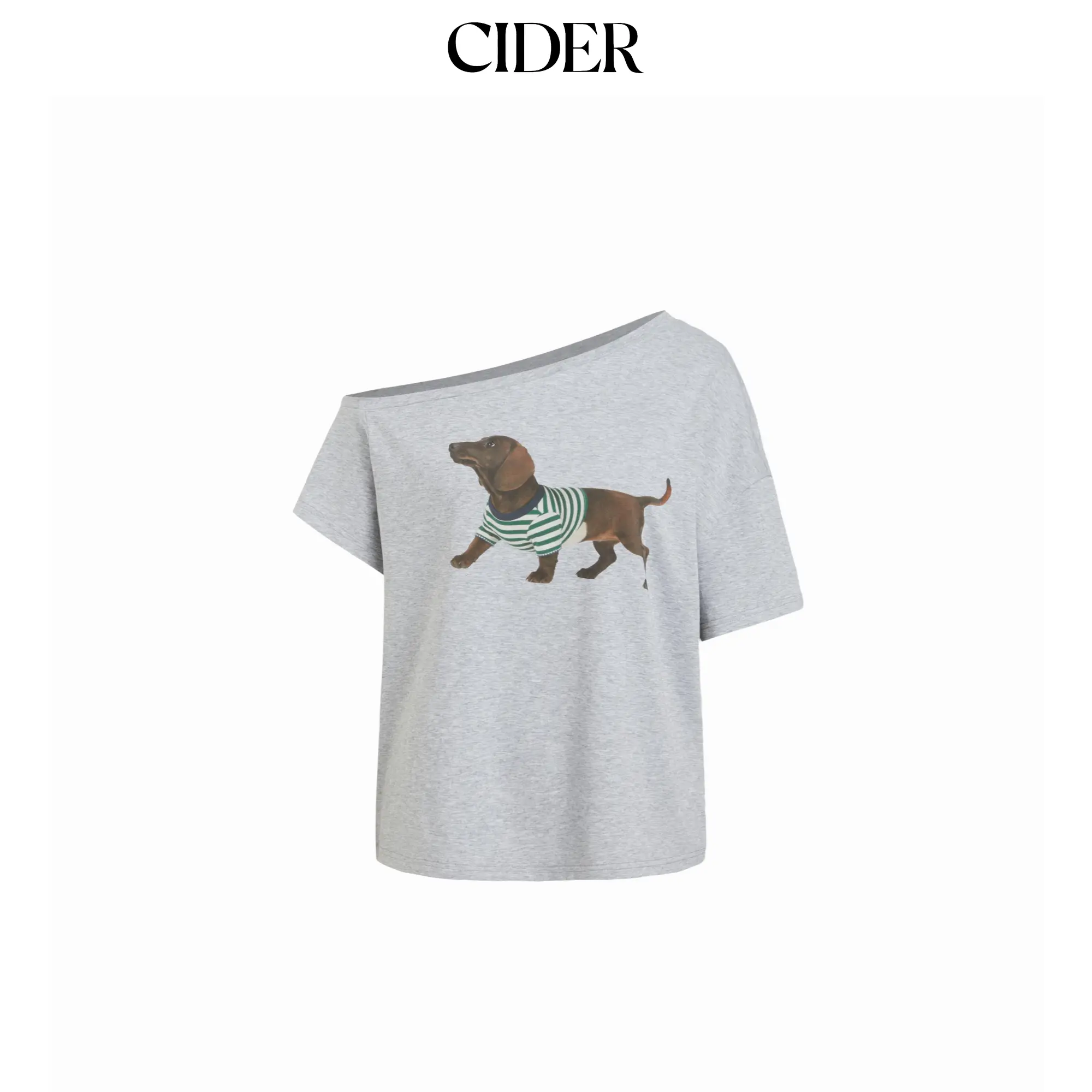 Cider Dachshund Graphic Asymmetrical Neck Oversized Tee